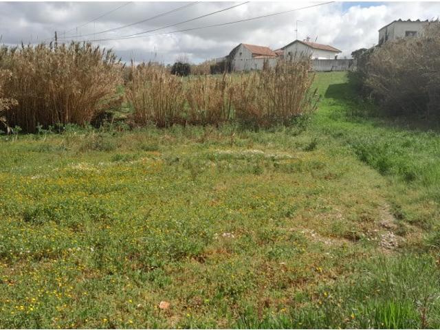 Terreno com excelente localização