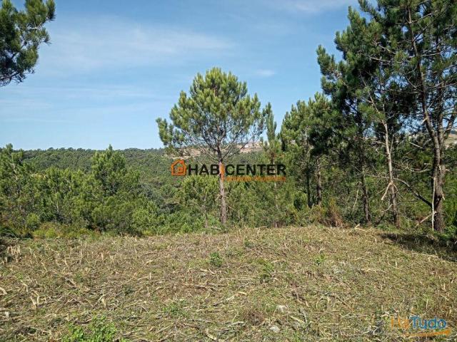 Terreno com excelente localização | 26044059176