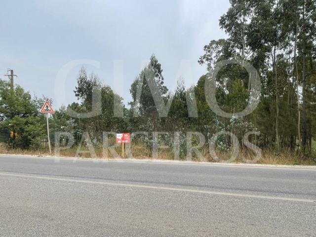 Terreno com excelente localização em Oliveira do Bairro