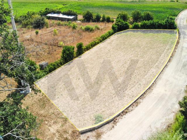 Terreno com Excelente Potencial para Construção – Beduído, Estarreja