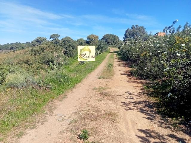 Terreno com excelentes acessos