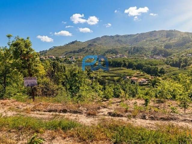 Terreno com Excelentes Vistas Ótimo Investimento | 26084086050