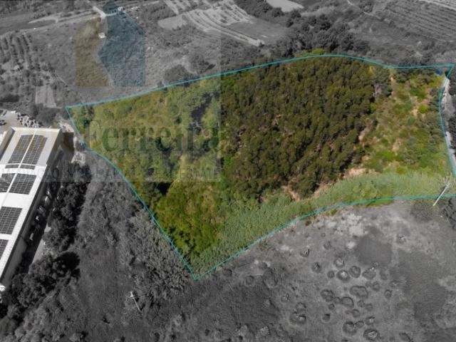 Terreno com mais de 1ha com grande área para construção
