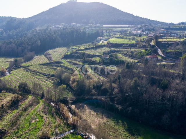 Terreno com moinho de vento para reabilitação em Sardoura Castelo de Paiva