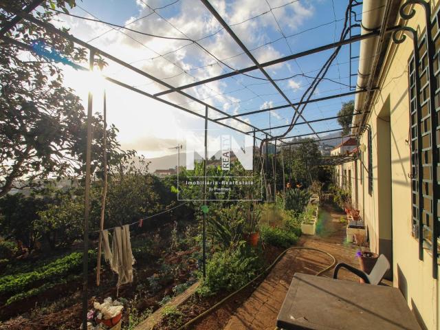 Terreno com Moradia T2