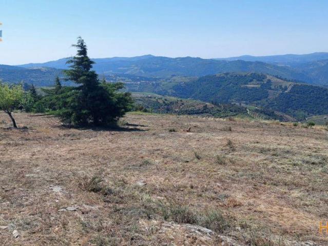 Terreno com paisagem para a Vila | 26083376270
