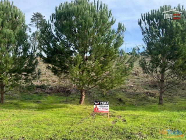 Terreno com pinhal com área 7.700 m2 com possível viabilidade de construção | 26083436785