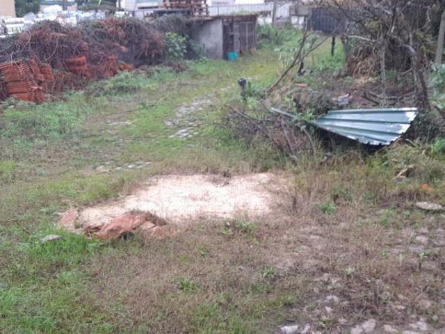 Terreno com Pinhal em Crestuma | 26063480602