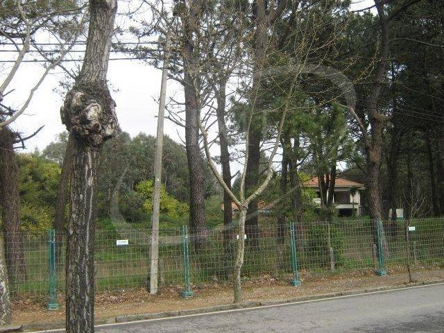 TERRENO COM PIP APROVADO A 350MTS DA PRAIA