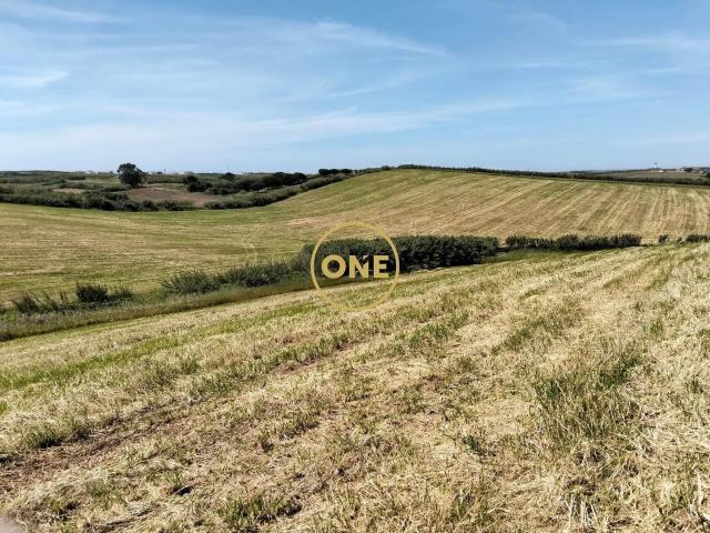 Terreno com PIP Aprovado – Casal da Barreira, Torres Vedras