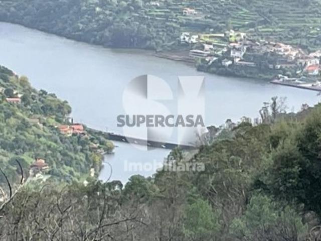 Terreno com PIP aprovado e vista Douro | 19.376 m² | Baião