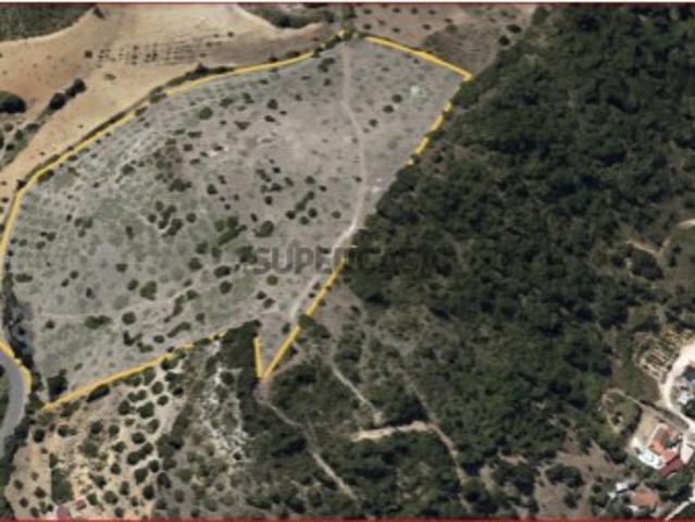 Terreno com possibilidade construção