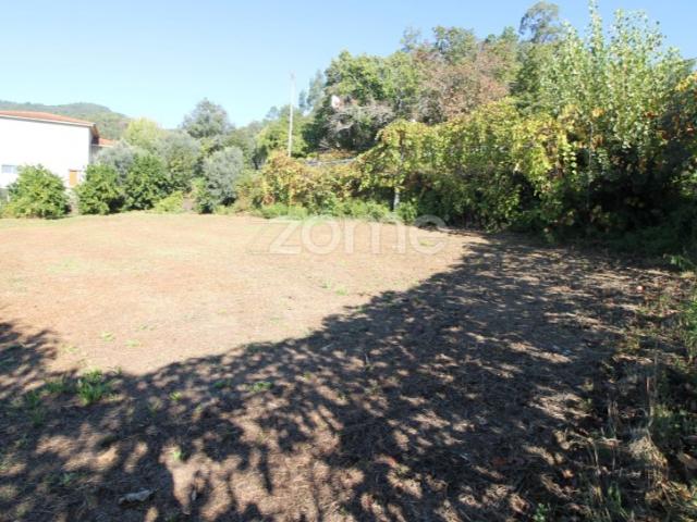 Terreno com possibilidade de construção de Moradias, Goães
