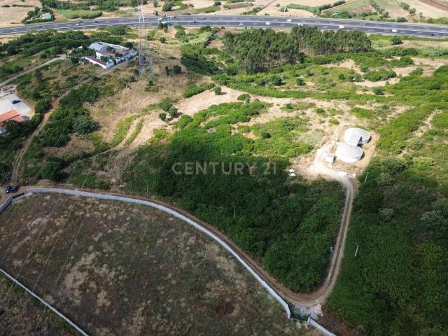 Terreno com Potencial Agrícola e Ambiental | 11.580 m² – Murteira