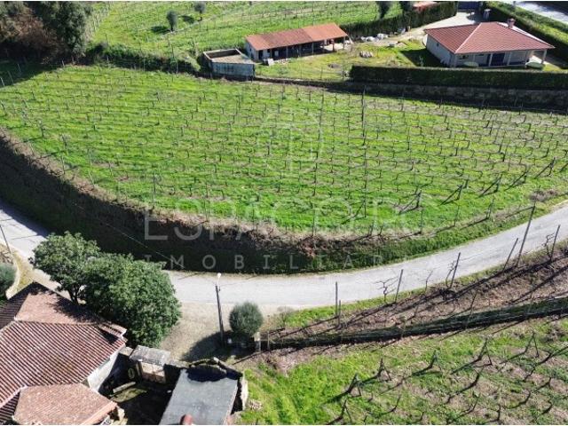 Terreno com potencial de construção em Atei