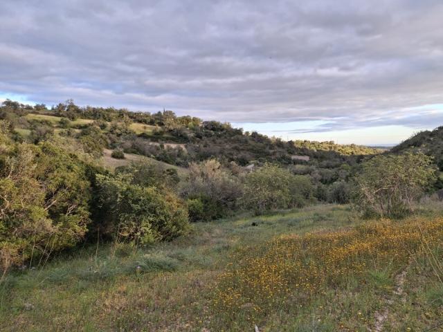 Terreno com potencial na bonita zona da Cabanita,Loulé