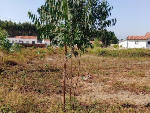 Terreno com projecto aprovado, no Cidral, em Rio Maior