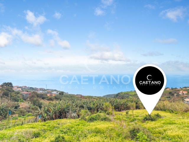 A Rare Oceanfront Plot A Vision Ready to Be Realized