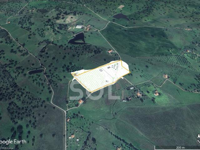 Terreno com projecto em aprovação para Habitação e TER