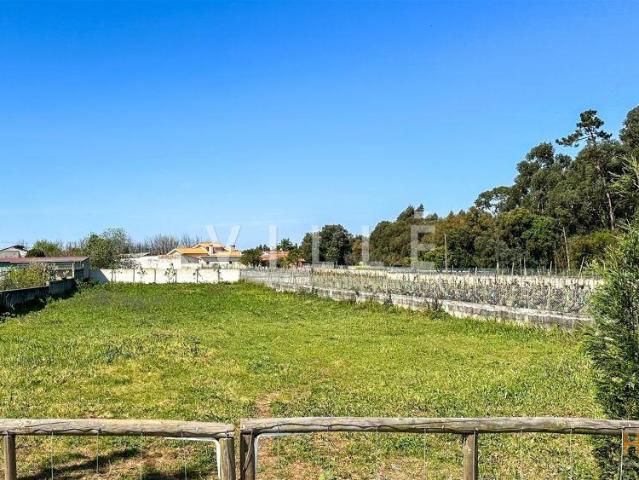 Terreno com projecto moradia aprovado | 26064082656