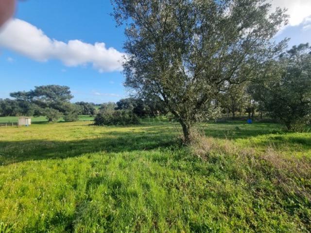 Terreno com projecto para 2 Moradias Moita Penteado