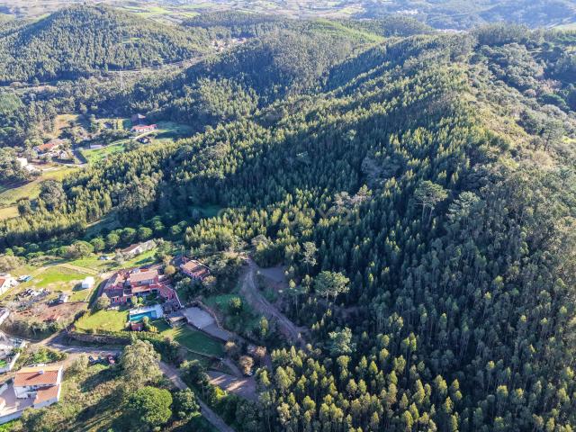 Terreno com projeto aprovado de Moradia Isolada T3 Picão