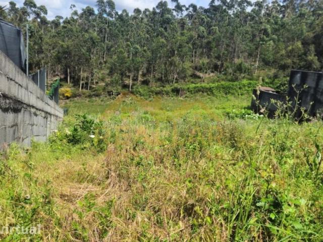 Terreno com projeto aprovado Laúndos