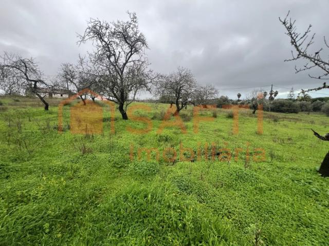 Terreno com projeto aprovado para moradia com piscina em Lagoa