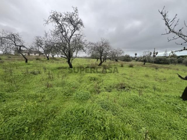 Terreno com projeto aprovado para moradia com piscina em Lagoa
