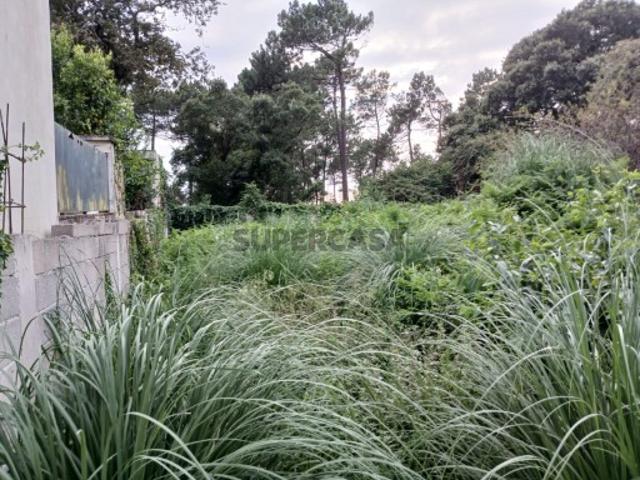 Terreno com Projeto Aprovado para Moradia Geminada
