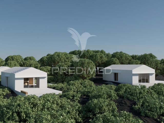 Terreno com Projeto Aprovado 5.320 m² em Santana, ilha do Pico Zona UNESCO