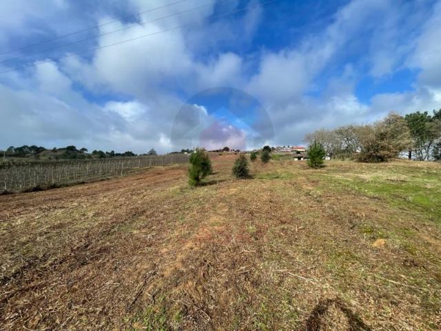 Terreno com projeto para 2 moradias e vista deslumbrante para o campo