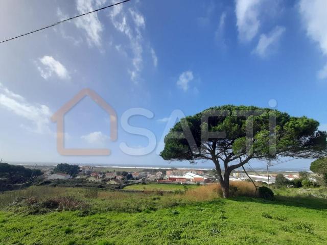 Terreno com projeto para construção de moradias 0m² Areosa