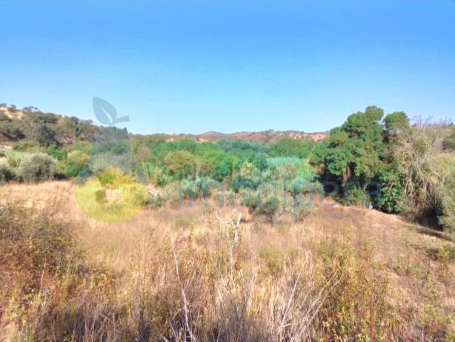 Terreno com prado natural, a 8 km de Messines, cultura arvense e leito de curso de água, Rio Arade e poço no local