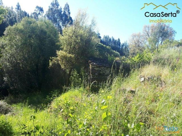 Terreno com Ribeira | 26083798249