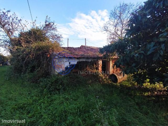 Terreno com runa para reconstruir na cidade de Tomar no Centro de Por