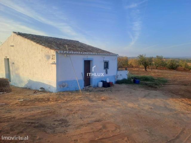 Terreno com ruina