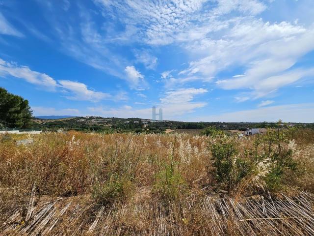 Terreno com Ruína 13280 m2 em Odiáxere Lagos