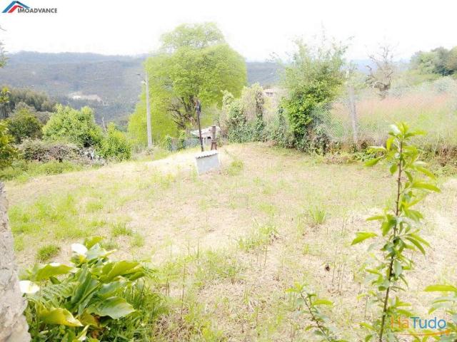 Terreno com Ruína a 25 minutos de Coimbra | 26063570542