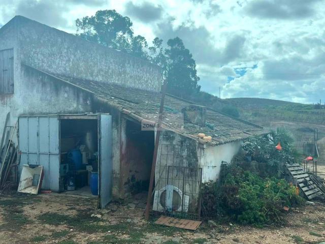 Terreno com ruina e furo em Odiaxere 42m² Odiáxere