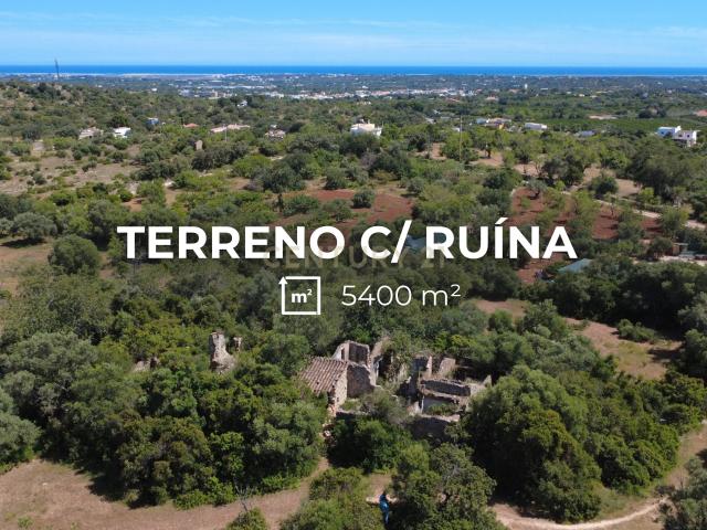 Terreno com Ruína e Potencial de Construção | 5.400 m² | Moncarapacho A 10 min de Olhão e 15 min do Aeroporto