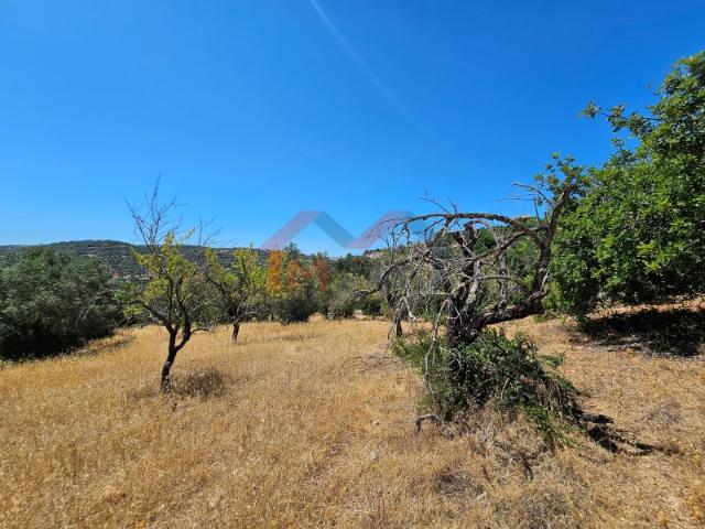 Terreno com ruína em zona calma de Monte Seco Loulé
