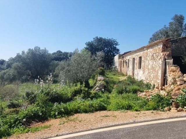 Terreno com ruína em S. Bartolomeu de Messines