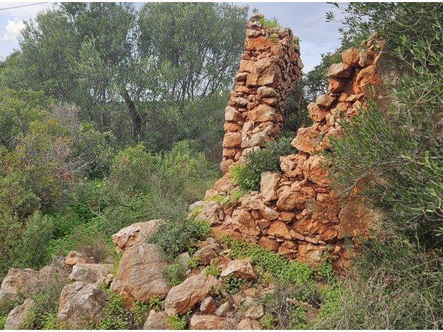 Terreno com ruina em Santa Margarida, Tavira, Algarve 196m² Tavira Santiago