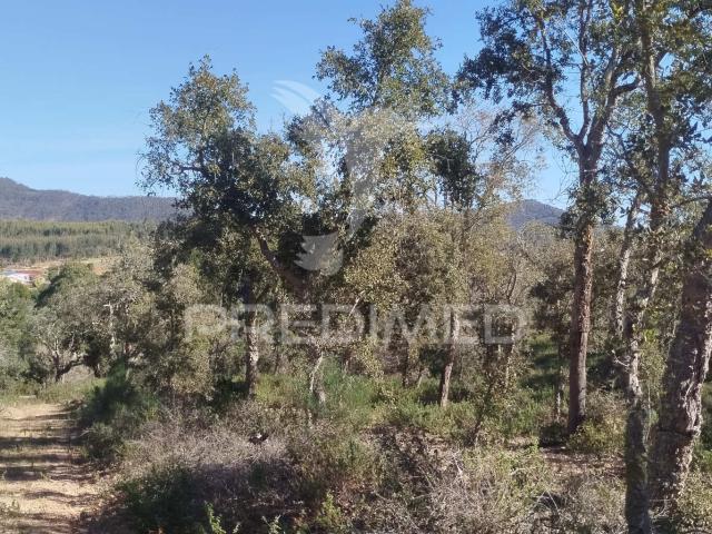 Terreno com ruína em Santiago do Cacém