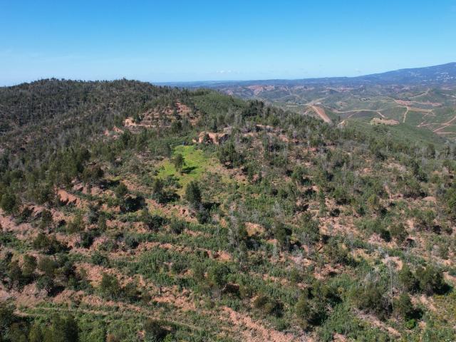 Terreno com ruina em Silves