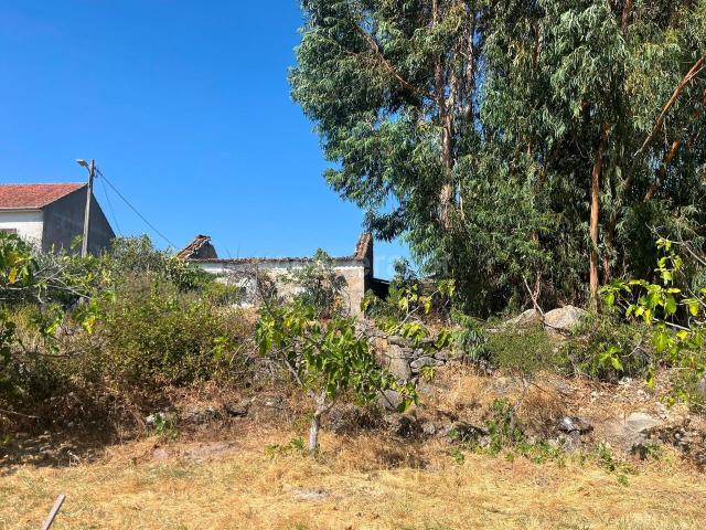 Terreno com ruina / Fundão, Quintas da Torre