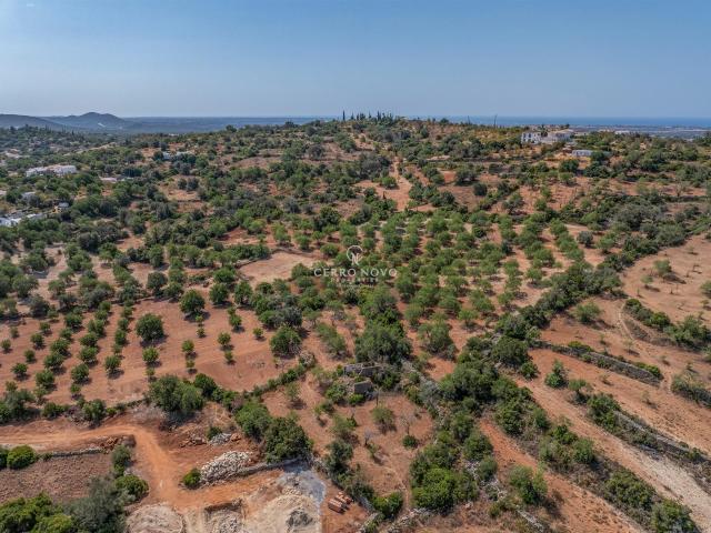 Terreno com ruína inserido num cenário rural calmo 300m² Boliqueime