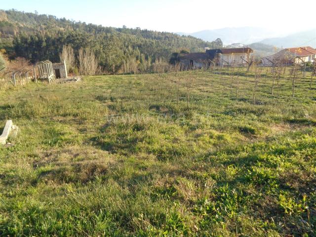 Terreno com ruina / Marco de Canaveses, Sande e São Lourenço