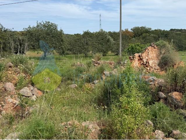 Terreno com ruína Ideal para pequena Quinta no Algarve